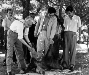 Reig, Gavrilov y el geólogo Celestino Danieli en los jardines del Instituto Lillo (1958)