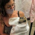 Gala Ortiz con cría no lactante de mono carayá