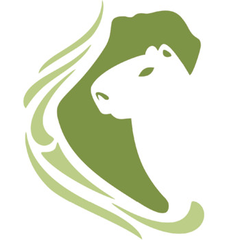 XXXVII JAM, 2026, Paraná