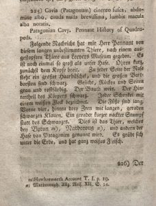 Original description of Dolichotis patagonum in E.A.W. Zimmermann's 'Geographische Geschichte des Menschen, und der vierfüssigen Thiere' (1780)